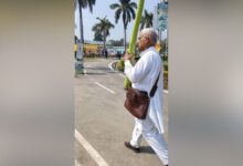 8 feet ki lauki 8 feet long gourd Carrying 8 feet long gourd Bizarre gourd Sabse badi lauki 2025 07
