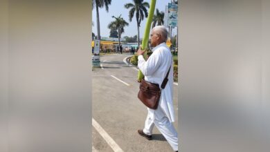 8 feet ki lauki 8 feet long gourd Carrying 8 feet long gourd Bizarre gourd Sabse badi lauki 2025 07