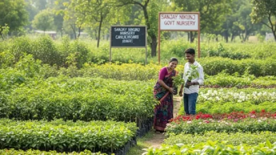Balaghat Govt Nursery