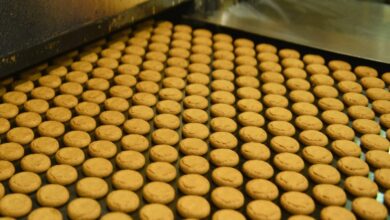 biscuits production 163196122116x9