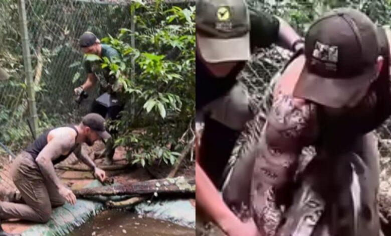विशाल एनाकोंडा: शख्स ने नंगे हाथो से पकड़ा, वीडियो वायरल! 1 green anaconda man pulls out giant snake swamp encounter snake rescue and rehabilitation 2025 07 bf5
