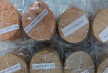 papad 163135202216x9