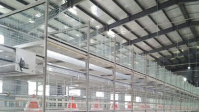 poultry farming 163109659616x9