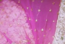 renuka 1 2025 07 dc2edfbb2a08ff2c8675a334290b66e2 16x9