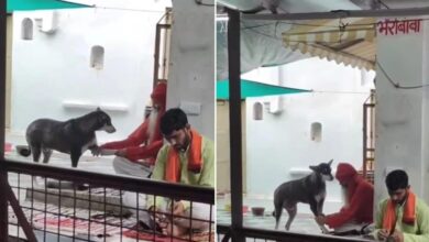 sadhu pressing feet of dog 2025 07 9392d06db3f16e5e8d3c27b97d30db5f 16x9