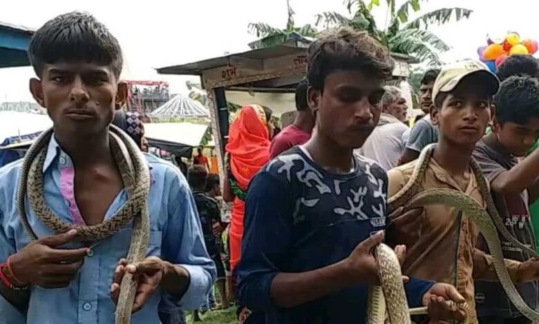 सांपों का मेला: समस्तीपुर में अनोखा दृश्य! 1 snake mela 2025 07 002bd60d590bd77b3acc6488d2aa9095 16x9